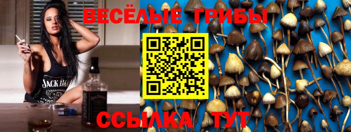 Аргун  Галлюциногенные грибы прущие грибы  Вход с VPN  Псилоцибиновые грибы Cubensis 