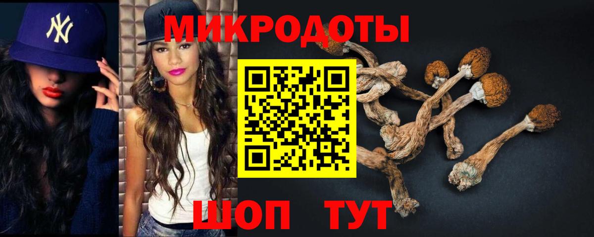 Псилоцибиновые грибы Cubensis Аргун